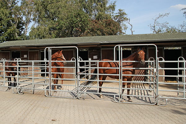 Pferdeboxen Stimmeshof