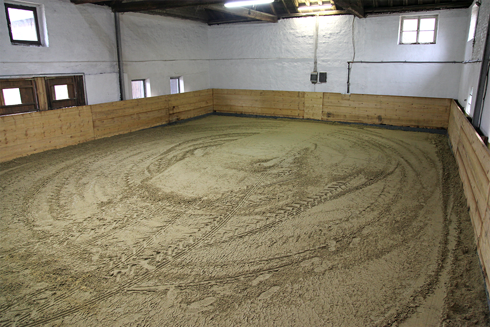 longierhalle bewegungshalle