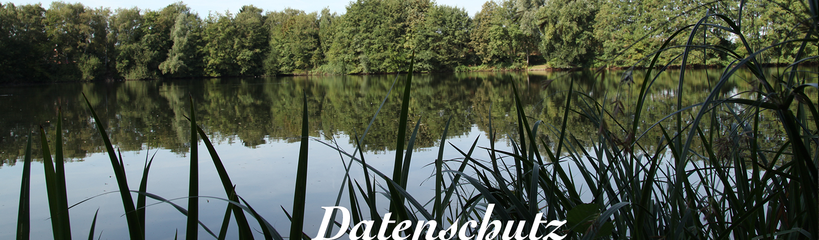 Stimmeshof Pferdepensionsbetrieb Kempen