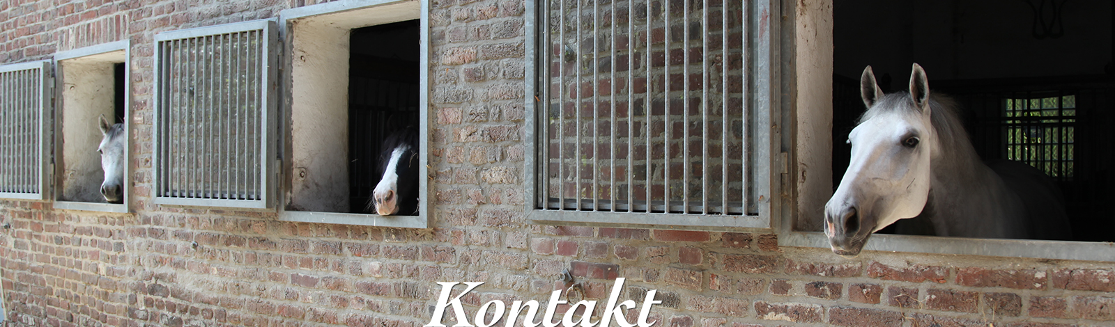 Stimmeshof Pferdepensionsbetrieb Kempen