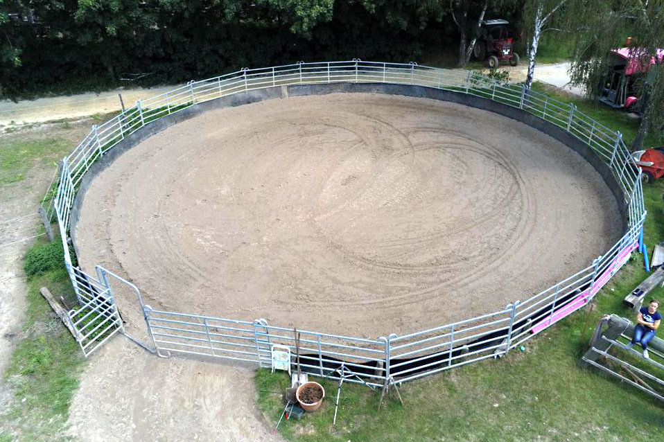 roundpen longieren