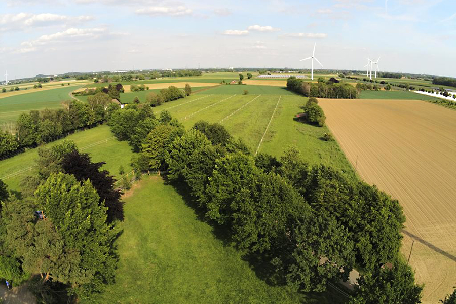 weide pferde auslauf