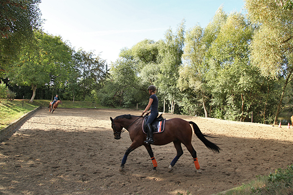 reiten stimmeshof