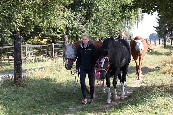 Stimmeshof Team kempen