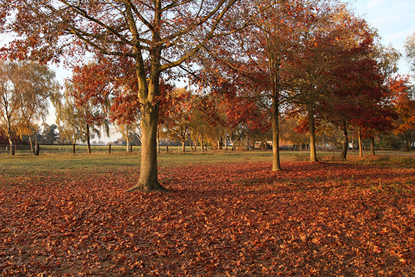 winterweide reitstall